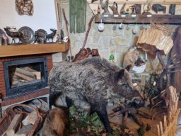 b_1024_768_0_00_images_2022_2023_SKKT_PTTK_rajd_czerwiec_352199291_629755932412647_6464669497206371320_n